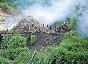 La carbonaia